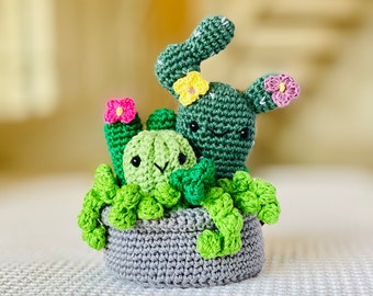 Succulent Pot with flowers - Amigurumi - Crochet - Handmade - Ethical - Stuffed Toys - Toys - Cute - Plants - Cactus - Succulents