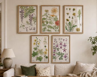 Eugene Grasset Botanical Framed Wall Art, Wisteria Chrysanthemum Dandelion Buttercup Columbine, Art Nouveau Print, A5 A4 A3, Vintage Decor