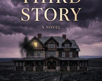 The Third Story - A Novel by Amanda Grimmick