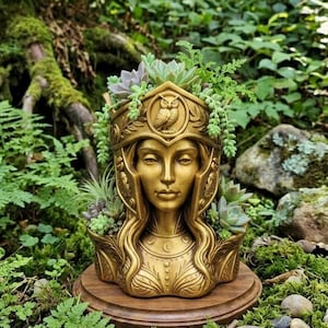 May include: A gold-colored bust planter shaped like a person wearing a helmet with an owl emblem on the forehead and crescent moon details on the chest. The planter is filled with various green succulents and trailing plants, resting on a round base.