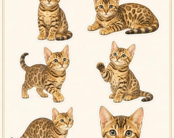 Bengal Complete Bundle | Sitting + Lying + Sticker Sheet | Printable Cat Sticker Set