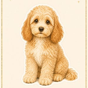 May include: A beige Cockapoo illustration with curly fur, large brown eyes, and a white chest patch. The text reads 3. Cockapoo. Below are icons of a paw print, a ball, a stick, a food bowl labeled GOOD DOG, and a folded checkered bandana.