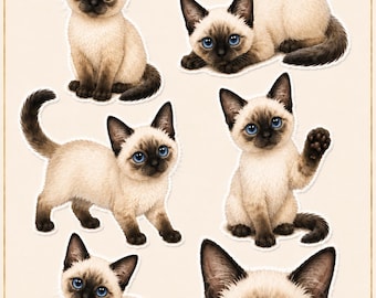Siamese Complete Bundle | Sitting + Lying + Sticker Sheet | Printable Cat Sticker Set