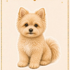 May include: A beige Pomapoo dog illustration on a cream background with the text 12. Pomapoo. Below the dog are icons of a paw print, a ball, a stick, a food bowl labeled GOOD DOG, and a folded bandana, all framed by decorative gold borders.