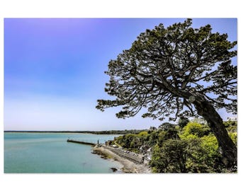 Cancale en Éclat : L'Harmonie des Cieux et des Mers
