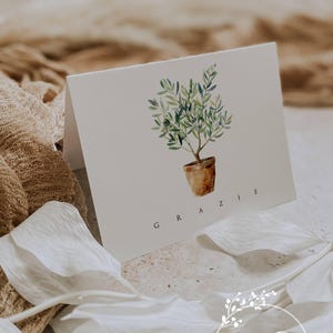 May include: A folded white card featuring a watercolor illustration of an olive tree in a brown pot. The word "GRAZIE" is printed in a dark font. The card is surrounded by white floral accents and a beige background.