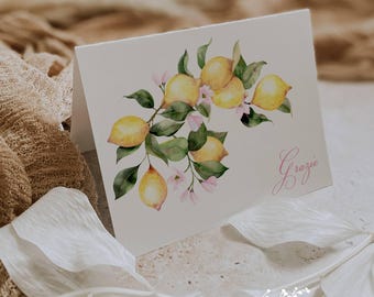 Lemon Thank You Cards with Envelopes: Mediterranean Pink Lemonade Stationery (Set of 12)