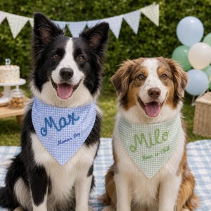 Funny Personalized Dog Bandana, Gingham Pet Scarf with Raised Rope Name & Custom Saying image 4