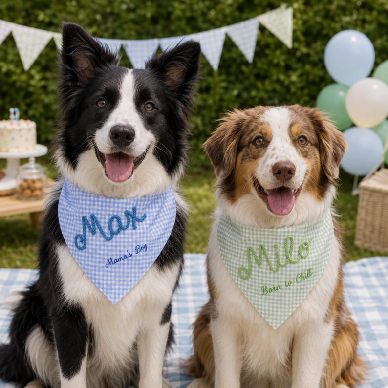 Funny Personalized Dog Bandana, Gingham Pet Scarf with Raised Rope Name & Custom Saying image 4