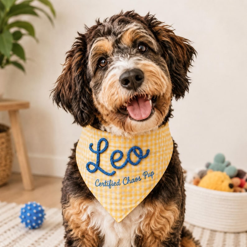 Funny Personalized Dog Bandana, Gingham Pet Scarf with Raised Rope Name & Custom Saying image 12