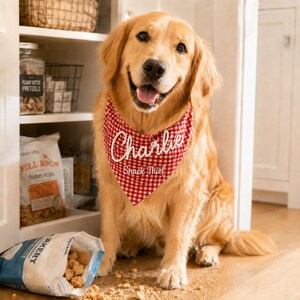 May include: A golden retriever wearing a red and white gingham dog bandana with the name Charlie and the text Snack Thief embroidered in white script. The dog sits near a bag of dog treats on the floor with crumbs scattered around the area.