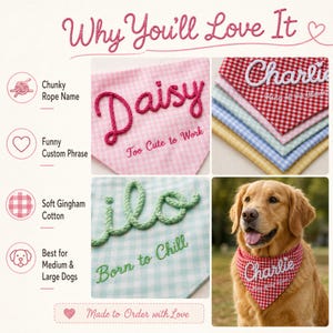 May include: A collection of triangular pet bandanas made of soft gingham cotton in various colors. Each bandana features a custom name in chunky rope lettering and a printed phrase. A golden retriever wears a red gingham bandana with the name Charlie.