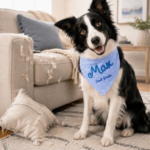May include: A black and white dog wearing a light blue and white gingham patterned bandana. The bandana features the name Max embroidered in large blue script letters, with the text Couch Gremlin embroidered in smaller blue letters below it.
