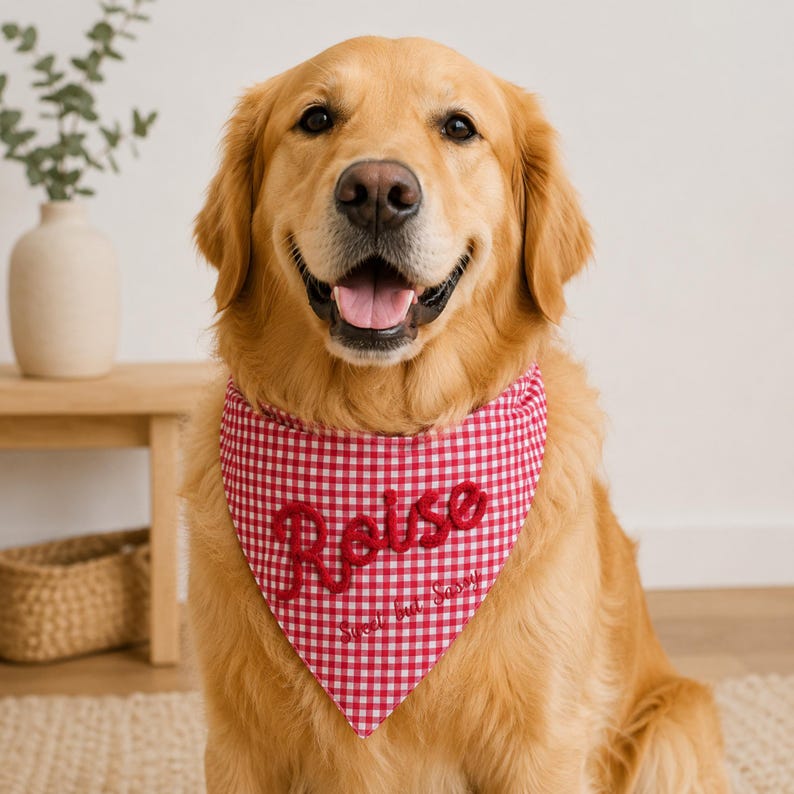 May include: A golden retriever wearing a red and white gingham dog bandana. The fabric features the embroidered name "Roise" in a bold red script font, with the smaller text "Sweet but Sassy" stitched directly underneath the name.
