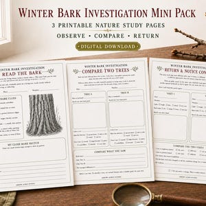 Könnte beinhalten: Drei weiße, ausdruckbare Naturstudienseiten mit dem Titel Winter Bark Investigation Mini Pack. Die Seiten enthalten schwarzen Text, Strichzeichnungen von Baumrinde sowie Abschnitte zum Festhalten von Beobachtungen, Vergleichen und Notizen.