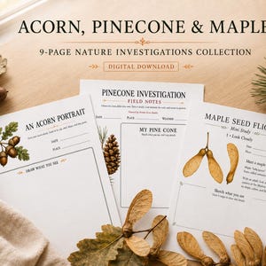 May include: A 9-page nature investigations collection digital download featuring worksheets titled Acorn, Pinecone & Maple. The pages include sections for field notes, drawings, and observations of acorns, pinecones, and maple seeds with botanical illustrations.