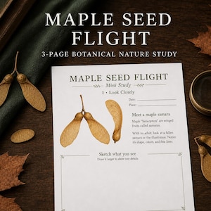 May include: A 3-page botanical nature study titled MAPLE SEED FLIGHT. The white paper features an illustration of maple samaras, text describing maple helicopters, and a section to sketch observations. It is surrounded by wooden maple seeds.