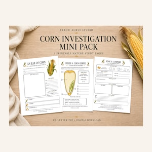 Può includere: Un pacchetto di studio sul mais con tre pagine stampabili con testo nero e illustrazioni su carta bianca. Le pagine includono titoli come An Ear of Corn, Inside a Corn Kernel e Soak and Compare con diagrammi.