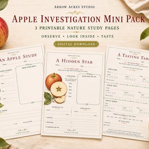 Könnte beinhalten: Drei druckbare Naturstudienseiten mit dem Titel Apple Investigation Mini Pack, die Abschnitte für An Apple Study, A Hidden Star und A Tasting Table enthalten. Die Seiten umfassen Textaufforderungen, Leerzeilen für Notizen und Apfelillustrationen.
