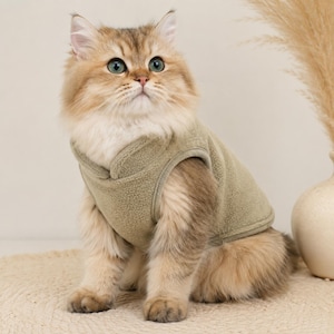 Puede incluir: Un gato de pelo largo con pelaje marrón dorado lleva un chaleco de forro polar verde salvia. El chaleco presenta un diseño sin mangas con cuello alto y cierre frontal cruzado. El gato tiene grandes ojos verdes y mira hacia arriba.