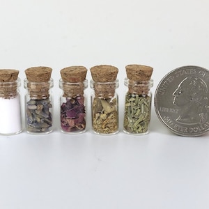 Hand Crafted Miniature Doll House Apothecary Bottles Potions Herbs Medicines