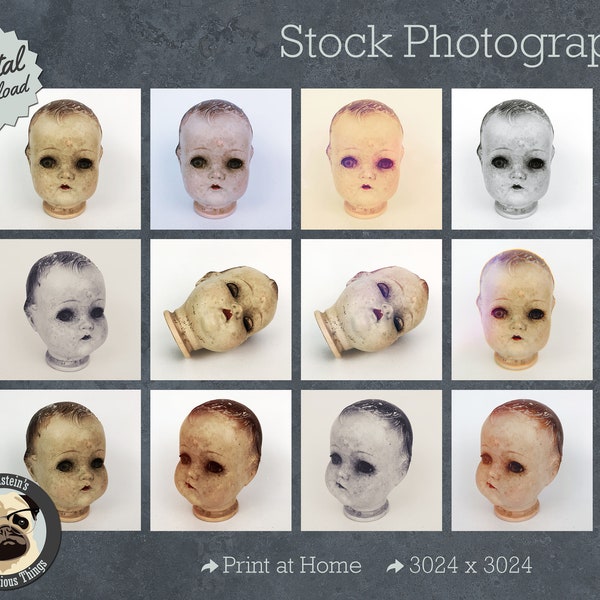 12 Halloween Creepy Doll Heads Stock Photography