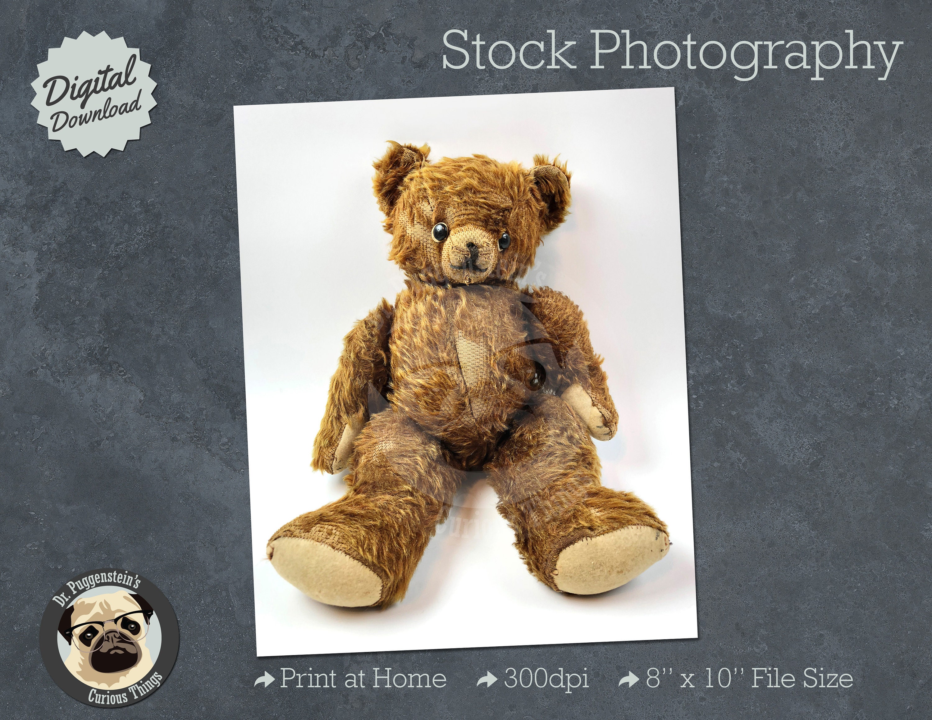 Old Vintage Worn Out Teddy Bear Stock Photography - Etsy Israel