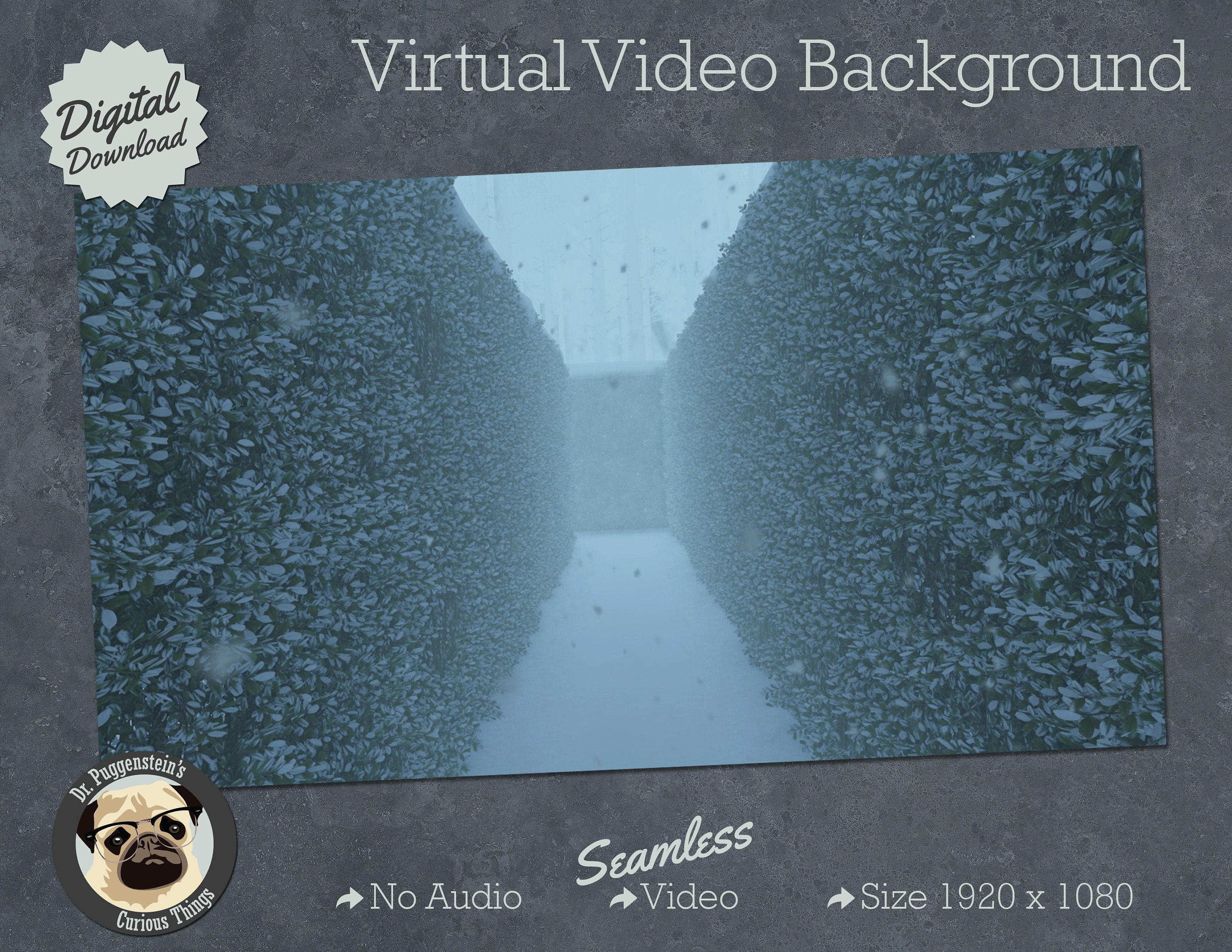 Buy Virtual Background Seamless 15 Sec Video Zoom Meetings Online in India  - Etsy