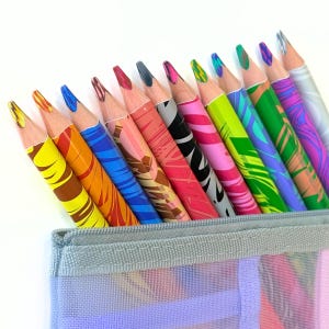 May include: A set of twelve sharpened colored pencils with swirling, multi-colored patterns on the barrels, arranged in a row and partially tucked into a light purple, semi-transparent mesh zippered pencil case with a gray fabric trim.