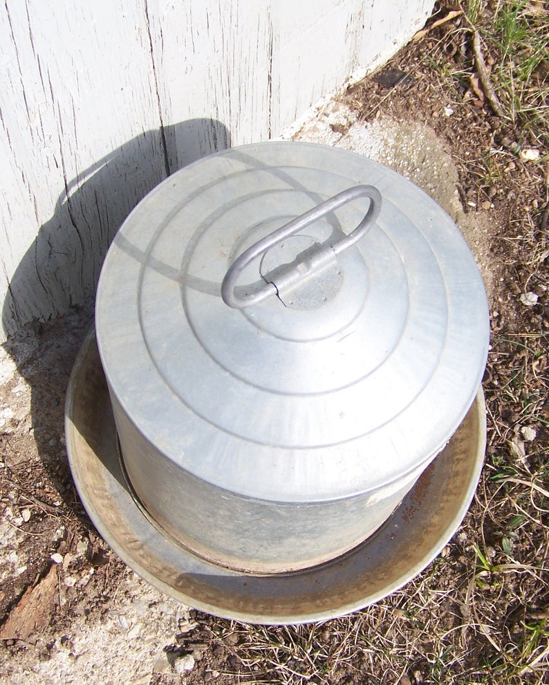painted galvanized chicken water feeder