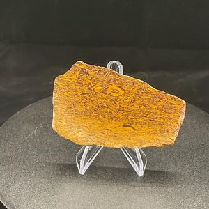 May include: A flat, irregularly shaped piece of polished stone featuring a vibrant pattern of swirling mustard yellow and deep maroon colors. The stone is displayed upright on a clear, three-pronged plastic stand, showcasing its natural texture.