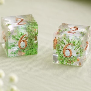 Green Botanical Resin Mahjong Dice Pair, Gold Numbered D6 Game Dice, Clear Garden Style Mahjong Accessory, Gift for Mahjong Lovers