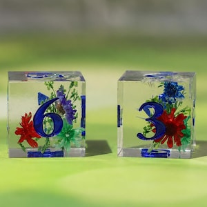 May include: Two clear resin cube dice featuring embedded dried flowers in shades of red, blue, and green. The die on the left displays a large blue number six, while the die on the right displays a large blue number three on their front faces.