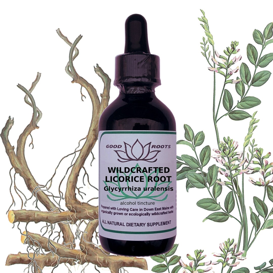 Licorice Root Tincture of Glycyrrhiza Glabra Etsy