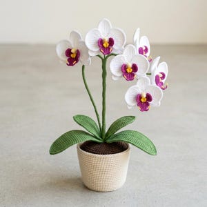 Może przedstawiać: Szydełkowana orchidea z białymi płatkami oraz ciemnofioletowymi i żółtymi środkami. Roślina posiada zielone łodygi i liście, umieszczona w beżowej, szydełkowanej doniczce z ciemnobrązową górną powierzchnią imitującą ziemię w doniczce.