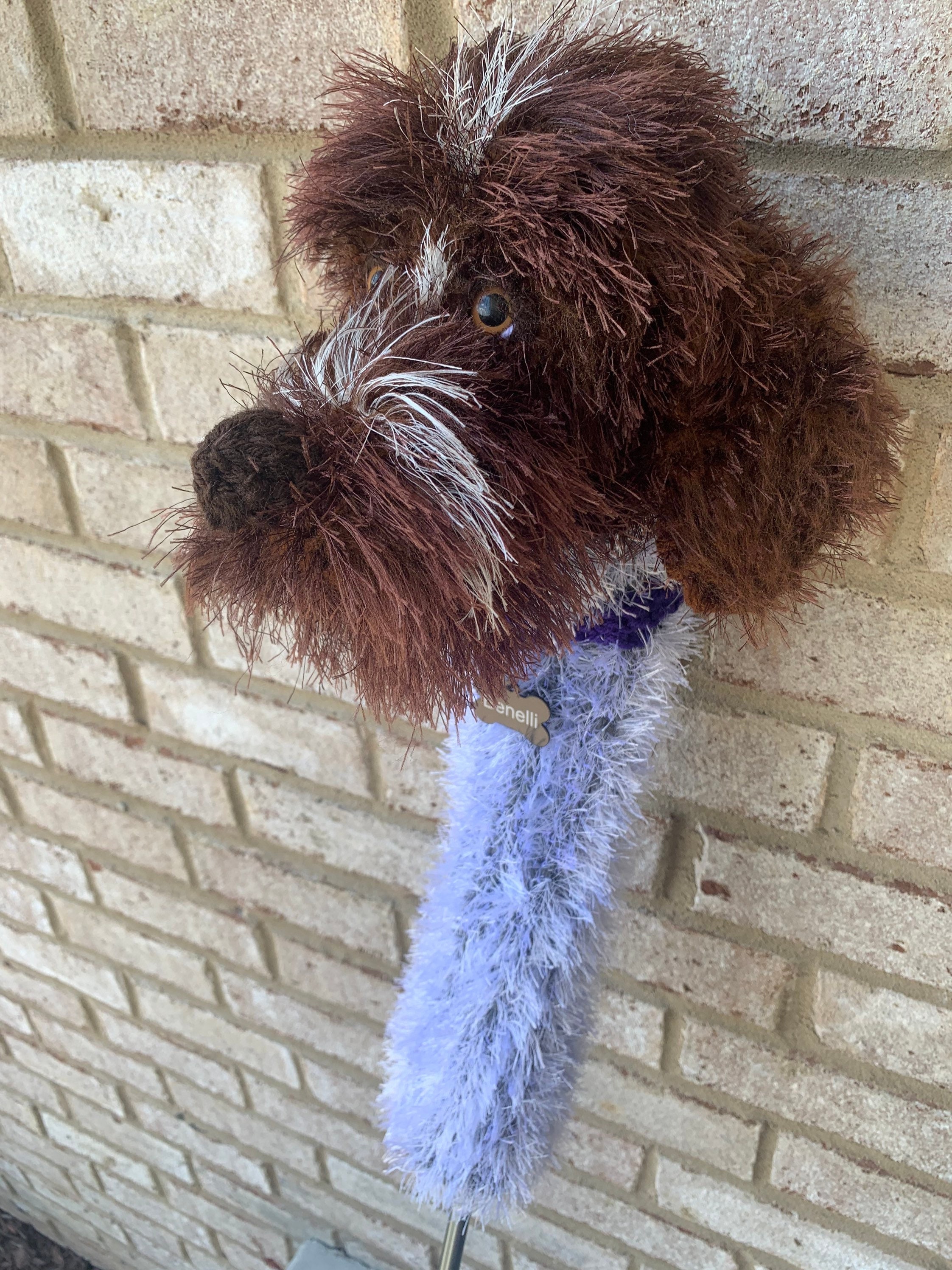 Can A Wirehaired Pointing Griffon Live In Antigua And Barbuda