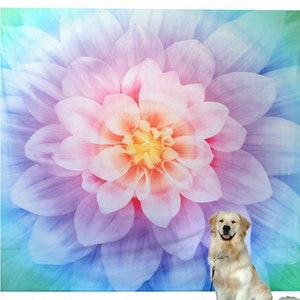 Hoffman Dream Big Opal Flower Panel 44&quot; Square