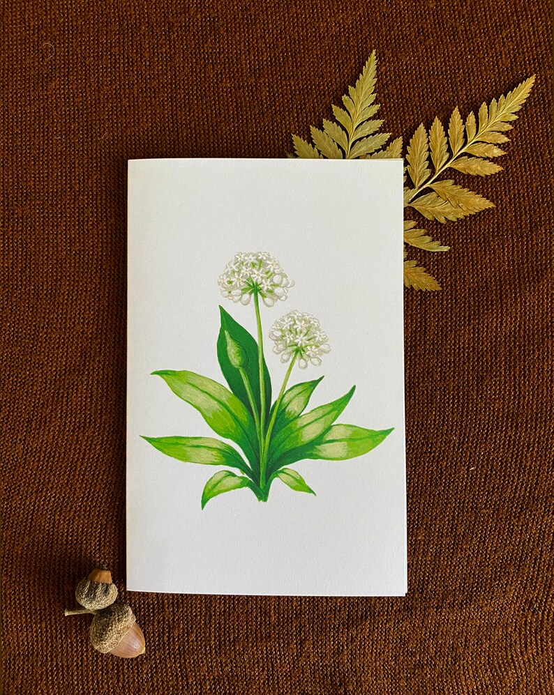 Edible Plant Greeting Card Set - Herbalism Note Card Set - Botanical ...
