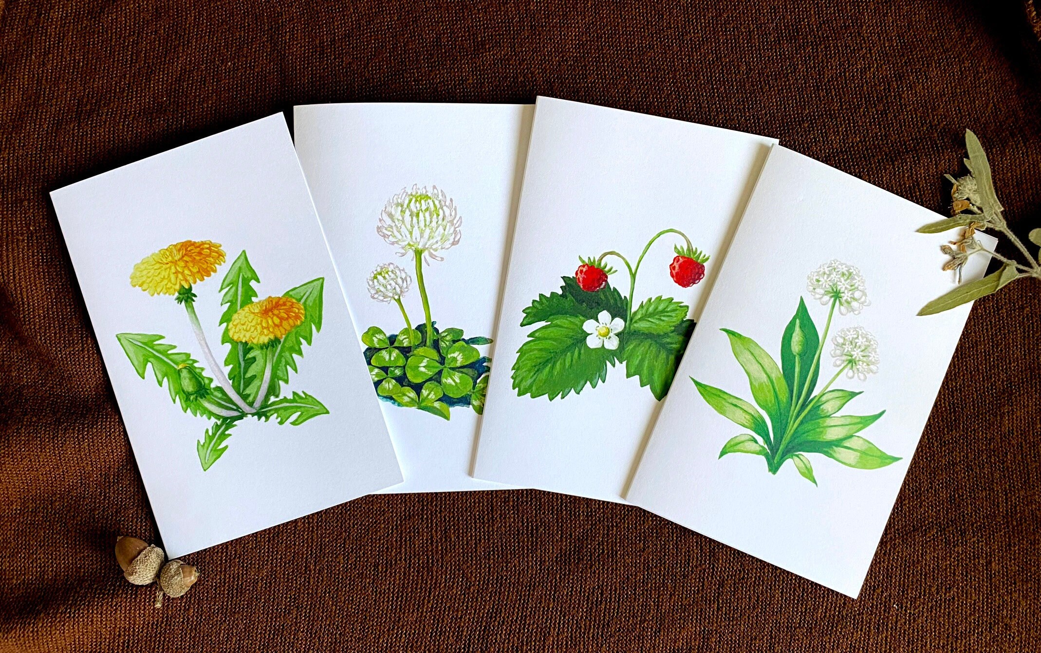 Edible Plant Greeting Card Set - Herbalism Note Card Set - Botanical ...