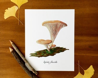 Tawny Cap Mushroom Illustration Print