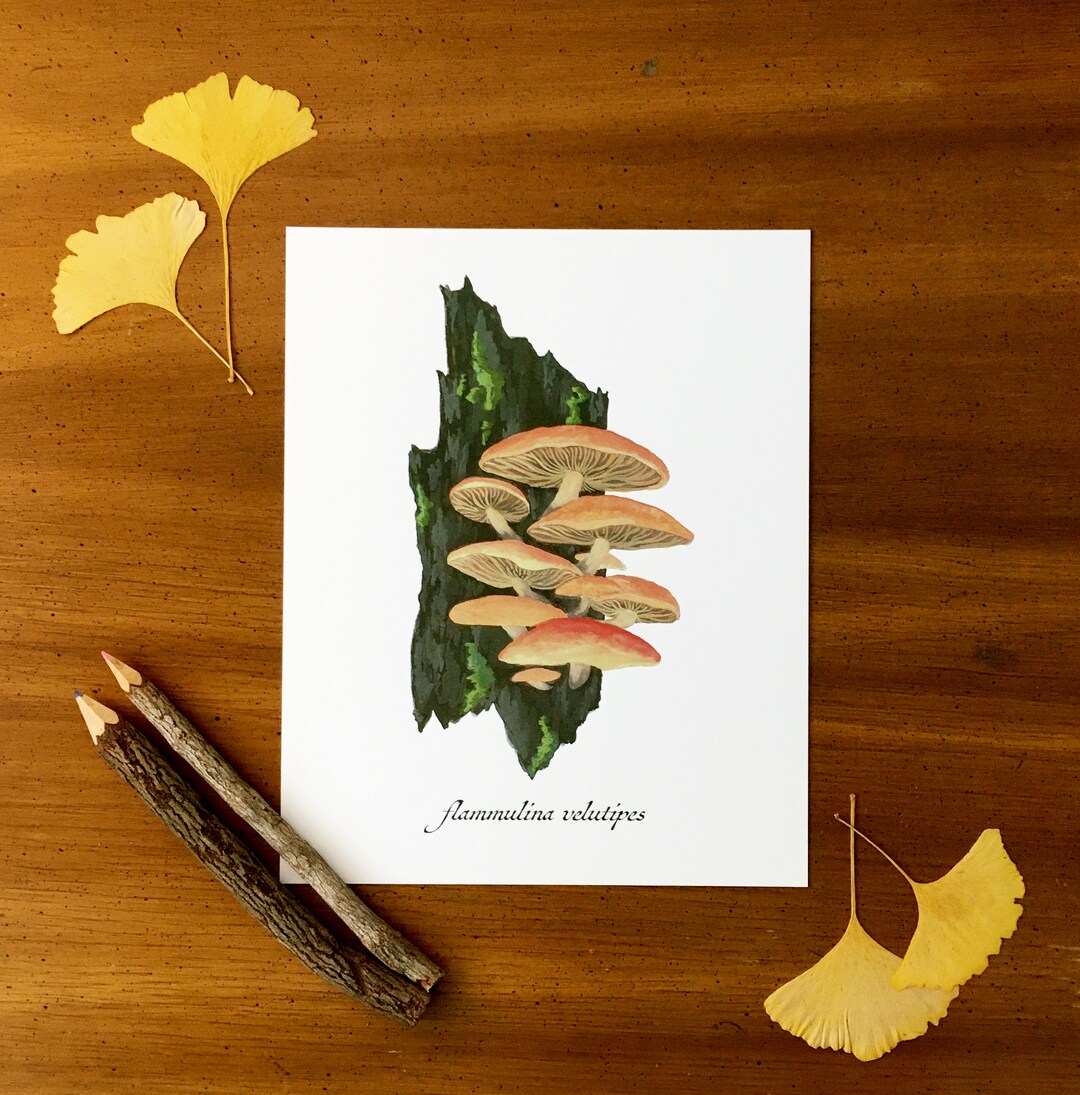 Velvet Shank Mushroom Print Mushroom Series Etsy UK