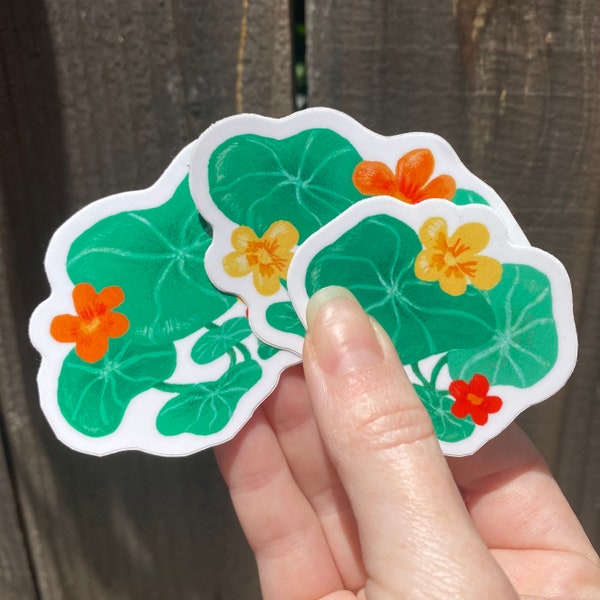 Nasturtium Sticker Set - Botanical Vinyl Decal - Gouache Flower Illustration - Gift for Gardener