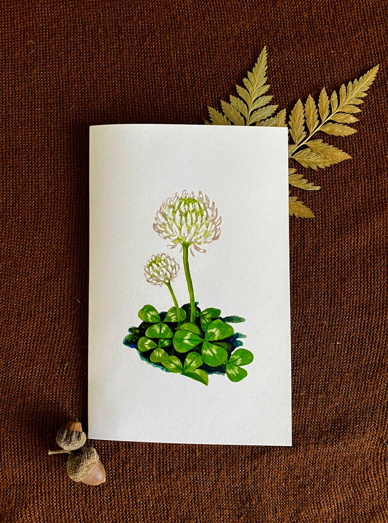 Edible Plant Greeting Card Set - Herbalism Note Card Set - Botanical ...