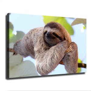 May include: A rectangular canvas print featuring a high-resolution photograph of a brown, shaggy-haired three-toed sloth resting its head on its folded arms while perched on a tree branch, surrounded by soft-focus green leaves and a bright sky.