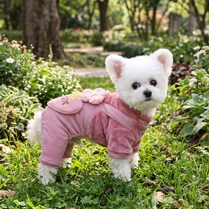 May include: A small white dog wearing a pink corduroy and plush jumpsuit featuring a heart-shaped pocket with the word love embroidered on it and a decorative pink flower accent on the back, designed with long sleeves and pant legs.