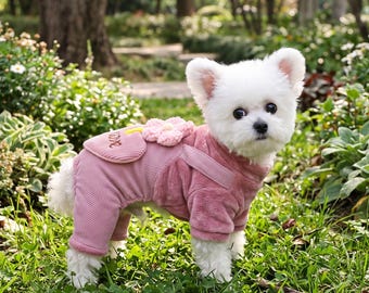 Puede incluir: Un perro pequeño de color blanco lleva puesto un mono rosa de pana y felpa que presenta un bolsillo en forma de corazón con la palabra love bordada y una flor rosa decorativa en la espalda, diseñado con mangas largas y perneras.