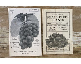 Vintage Garten-Katalog Dixon Small Fruit Plants + West Hill Nurseries 1920