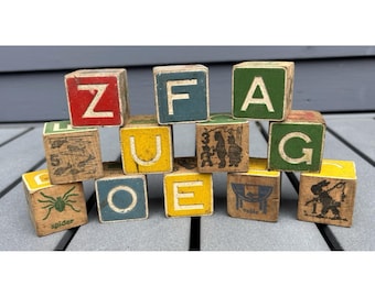 Vintage wood alphabet building blocks letters object animals pictures 1950's