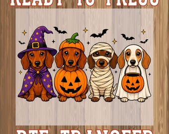 Könnte beinhalten: Ein DTF-Transferbogen mit vier Dackeln in Halloween-Kostümen: eine Hexe mit violettem Hut und Umhang, ein Kürbis, eine in Bandagen gewickelte Mumie und ein Geist mit einem Kürbiseimer. Der Text READY TO PRESS DTF TRANSFER ist deutlich zu sehen.