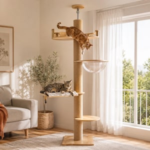 Peut inclure: Un arbre à chat du sol au plafond avec un poteau central recouvert de sisal, une base carrée en bois, plusieurs plateformes circulaires en bois, un perchoir en dôme acrylique transparent et une plateforme rectangulaire avec un coussin.